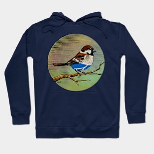 House Sparrow Wearing Over-priced Vintage Y Fronts Hoodie
